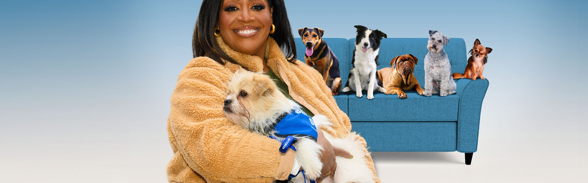 For the Love of Dogs with Alison Hammond