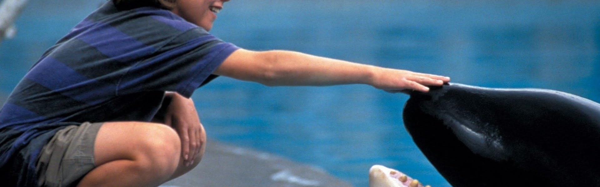 Free Willy