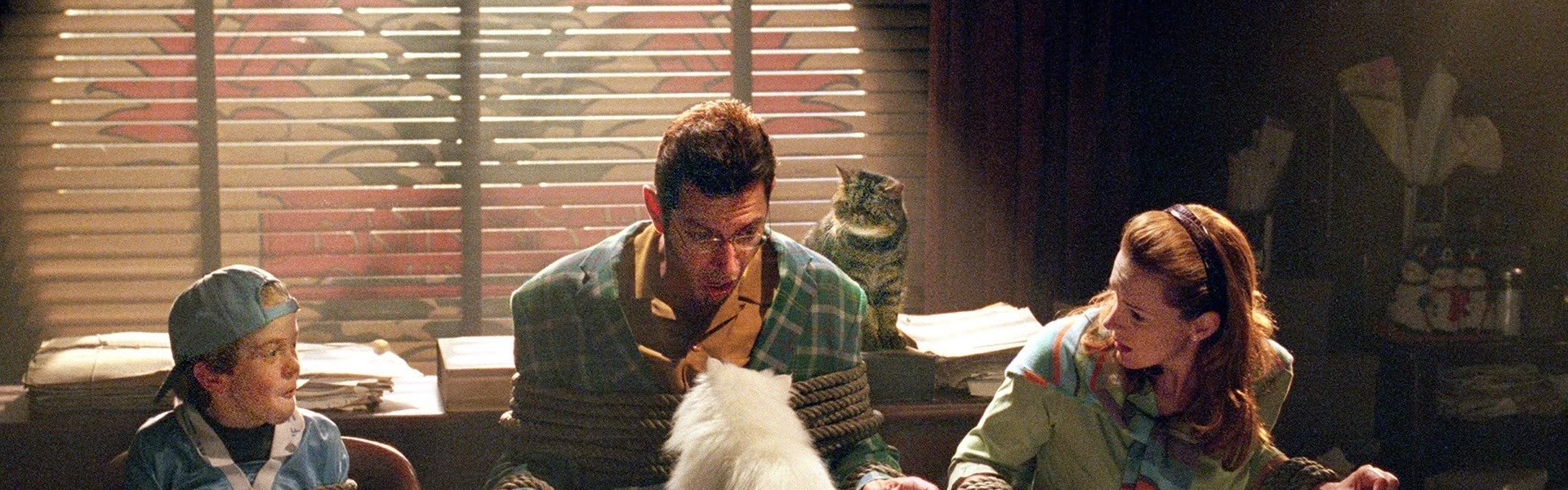 Cats & Dogs