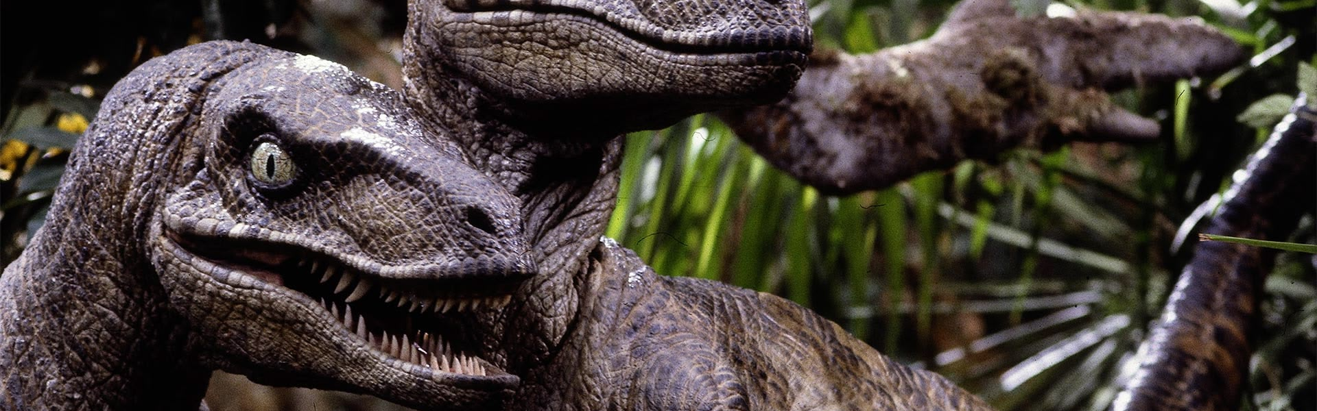 Jurassic Park