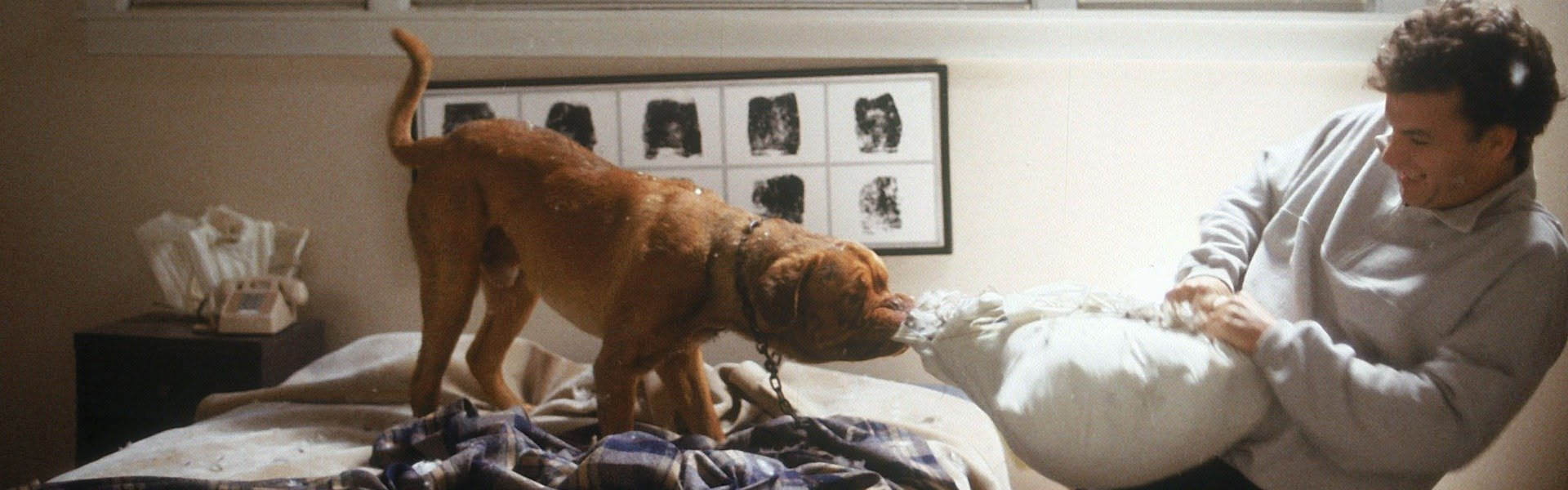 Turner & Hooch