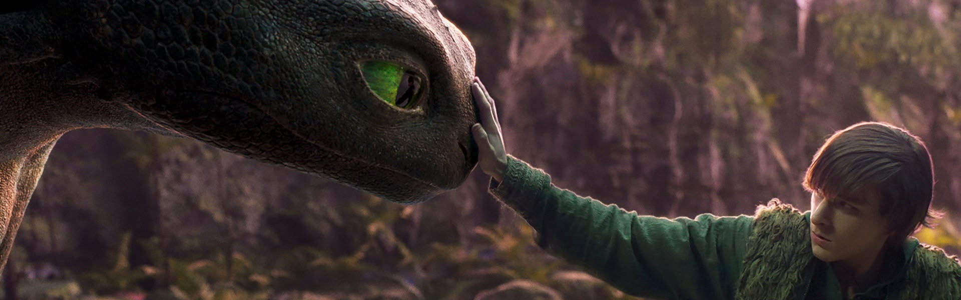 How To Train Your Dragon