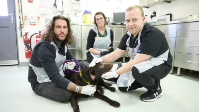 Pete Wicks: For Dogs' Sake