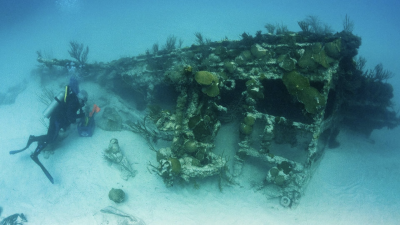 Discovered By Disaster