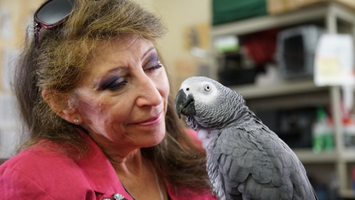 How Do Animals Do That?