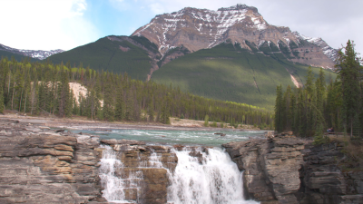 Wild Rockies
