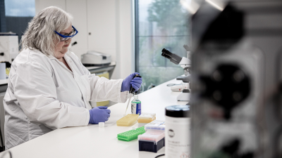 Forensics: Catching The...