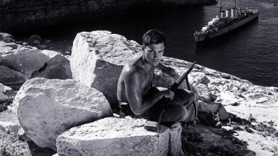Sailor of the King