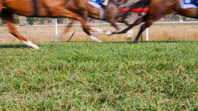 British Racing: Welfare Commitment