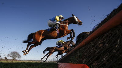 For the Love of the Racehorse