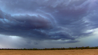 Wild Sky