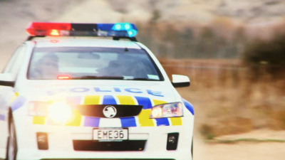 Highway Cops
