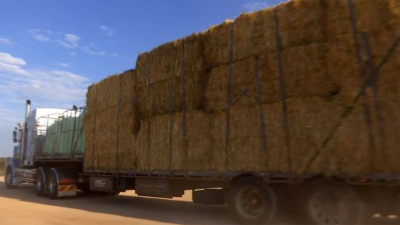 Outback Truckers