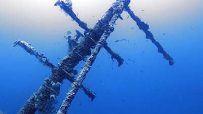 Reef Wrecks