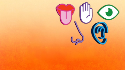 Milkshake! Exploring Senses