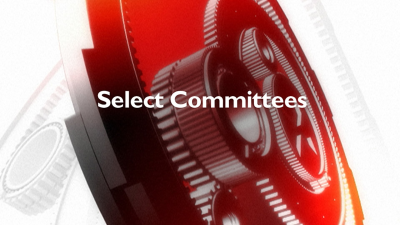 National Security Strategy Committee on Undersea Cables