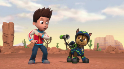 **Visually Signed** PAW Patrol