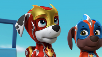 **Visually Signed** PAW Patrol