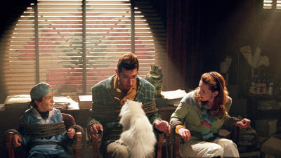 Cats & Dogs