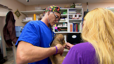 Dr. Jeff: Rocky Mountain Vet