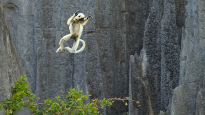 Airborne