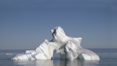 Arctic Secrets