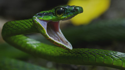 Colombia's Wild Coast