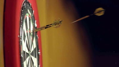 Darts Gold: Taylor v Lewis 2010