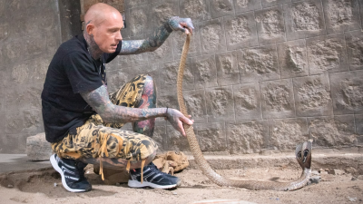 Snakes In The City