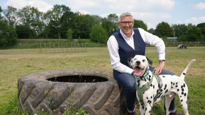 Dogs Behaving (Very) Badly