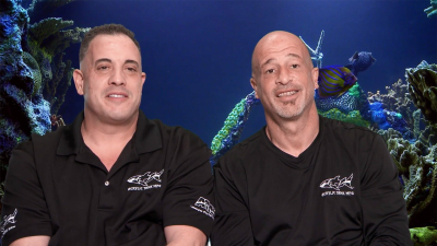 Tanked