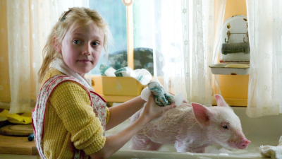 Charlotte's Web