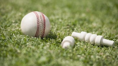 Live Major League Cricket