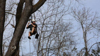 Treehouse Masters