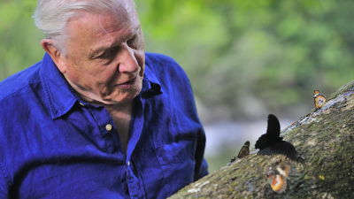 David Attenborough's Conquest of the Skies