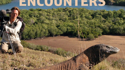 Magic Encounters: Episode 1