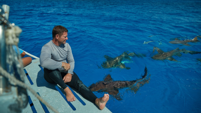 Shark: British Isles Special with Steve Backshall