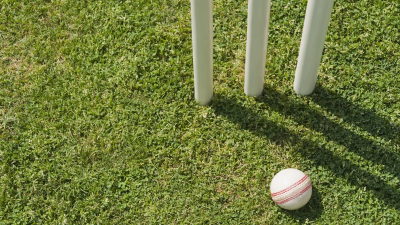 Indian Premier League