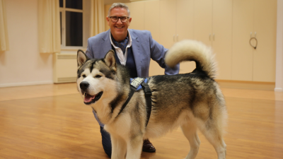 Dogs Behaving (Very) Badly