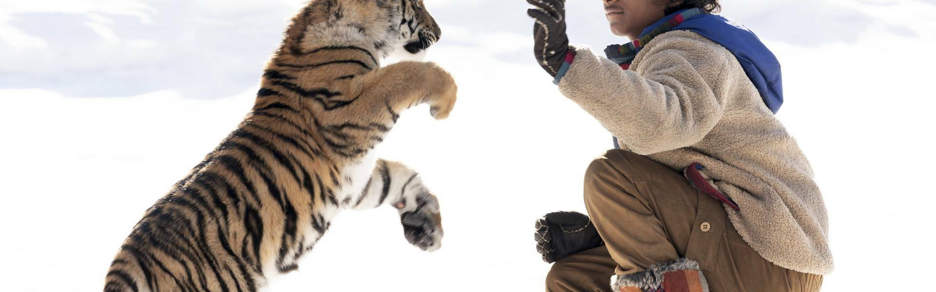 El Niño Y El Tigre