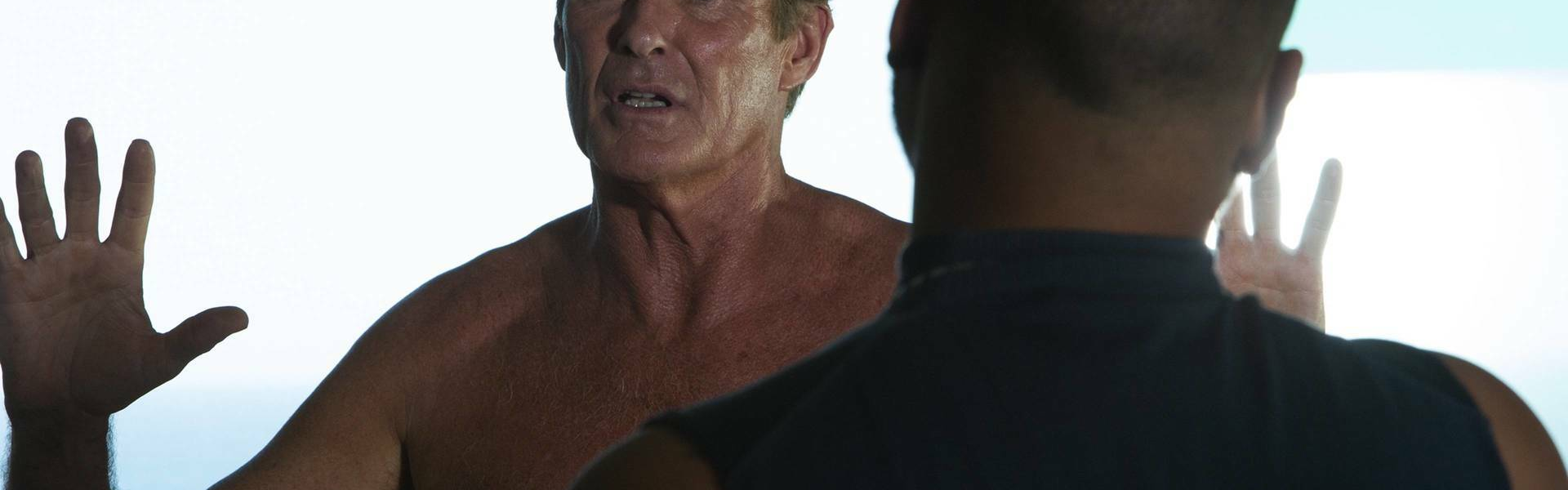 Objetivo: Hasselhoff