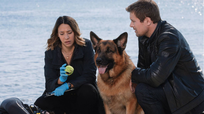 Hudson y Rex T3 E15 · Las apariencias engañan