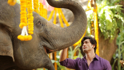 Junglee: Alma Salvaje