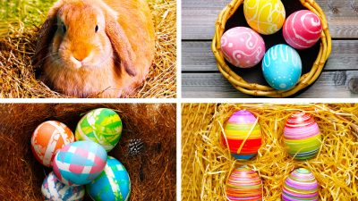 Recetas de Pascua con huevos: ¡Domine el arte de cocinar huevos!