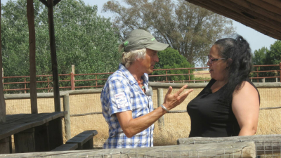 Volando voy: Doñana