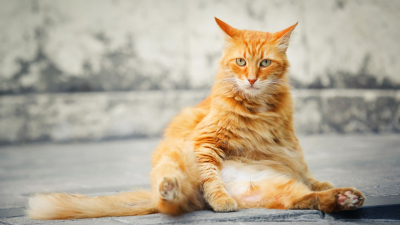 Cuidados a tener en cuenta