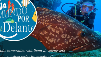 Un mundo por delante T3 E2 · Exxplorando los fondos de Tenerífe