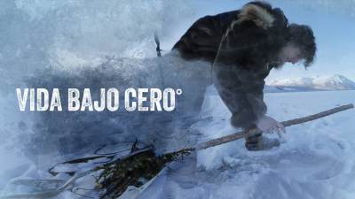 Vida bajo cero