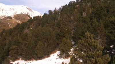 Xarxa Natura