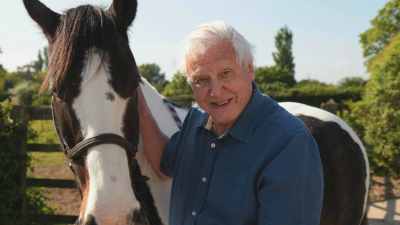 Curiosidades de la naturaleza con Attenborough · Protecciones asombrosas